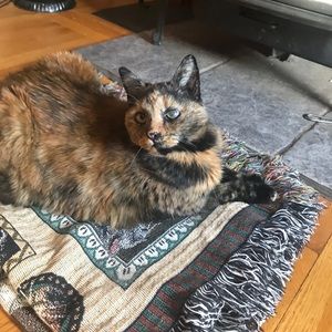 Meet your Posher, Shelley